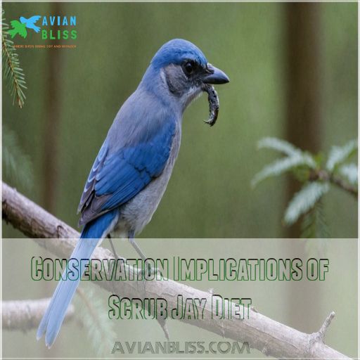 Conservation Implications of Scrub Jay Diet