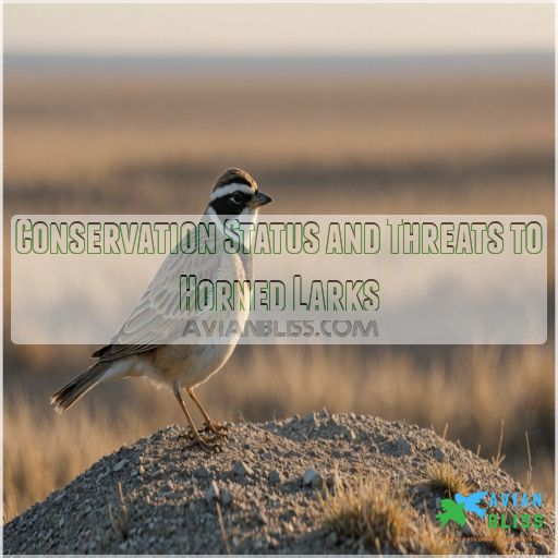 Conservation Status and Threats to Horned Larks