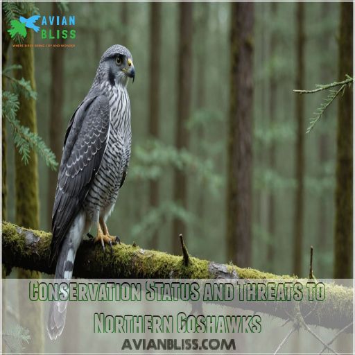 Conservation Status and Threats to Northern Goshawks