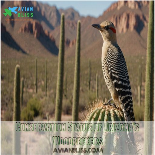 Conservation Status of Arizona