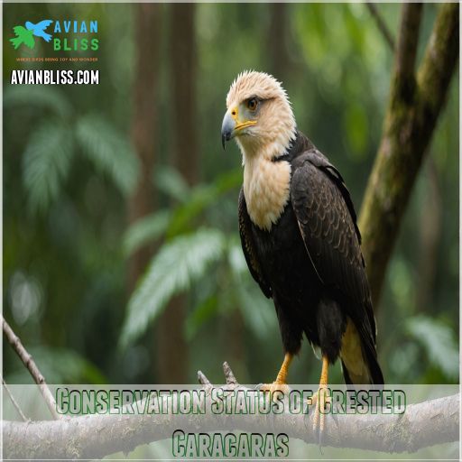 Conservation Status of Crested Caracaras