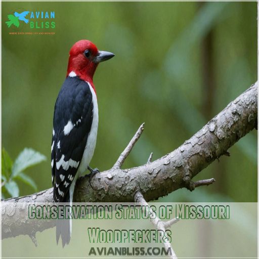 Conservation Status of Missouri Woodpeckers