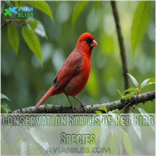 Conservation Status of Red Bird Species