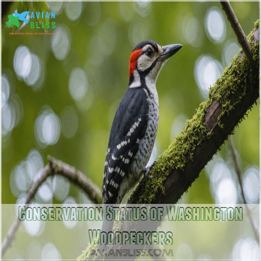 Conservation Status of Washington Woodpeckers