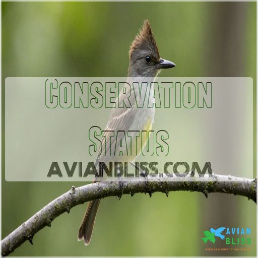 Conservation Status