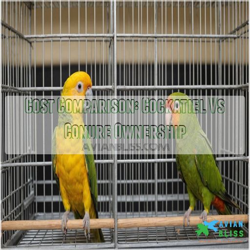 Cost Comparison: Cockatiel Vs Conure Ownership