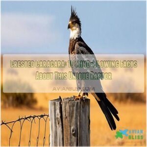 crested caracara