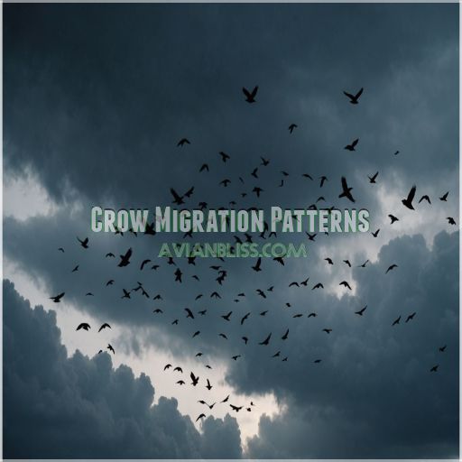 Crow Migration Patterns