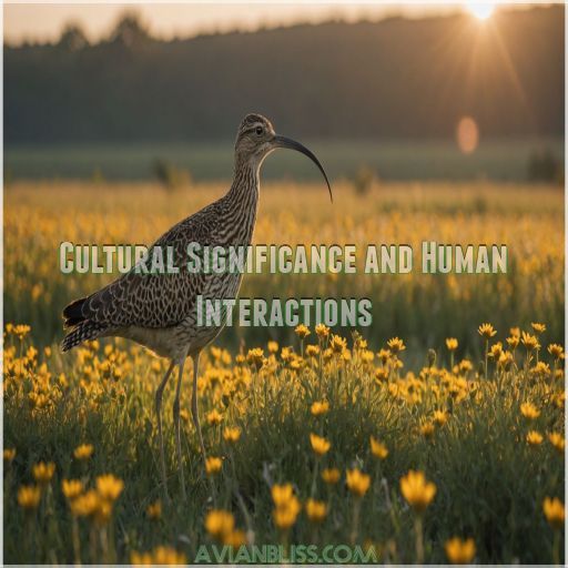 Cultural Significance and Human Interactions