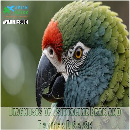 Diagnosis of Psittacine Beak and Feather Disease