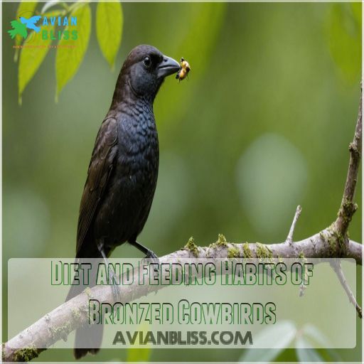 Diet and Feeding Habits of Bronzed Cowbirds