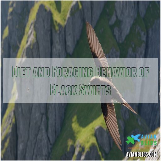 Diet and Foraging Behavior of Black Swifts