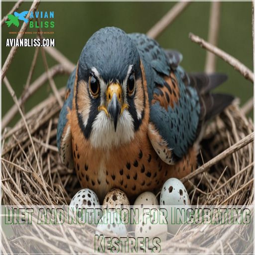 Diet and Nutrition for Incubating Kestrels