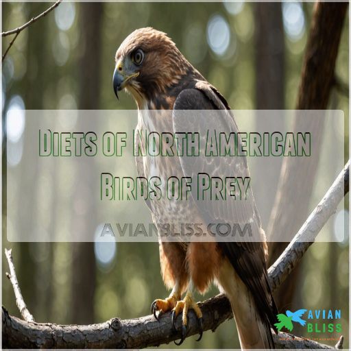 Diets of North American Birds of Prey