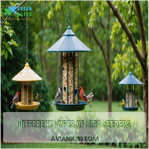 Different Types of Bird Feeders