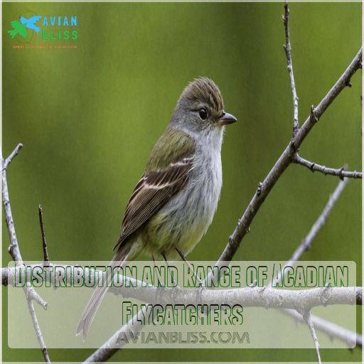 Distribution and Range of Acadian Flycatchers