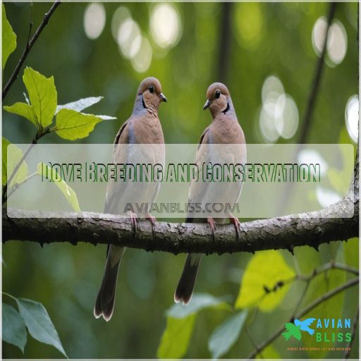 Dove Breeding and Conservation