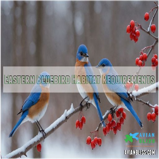 Eastern Bluebird Habitat Requirements