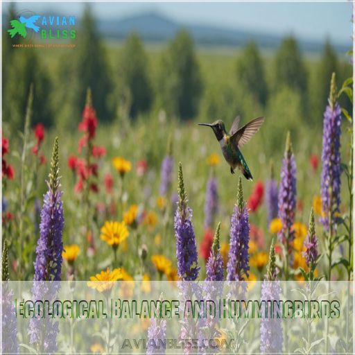 Ecological Balance and Hummingbirds