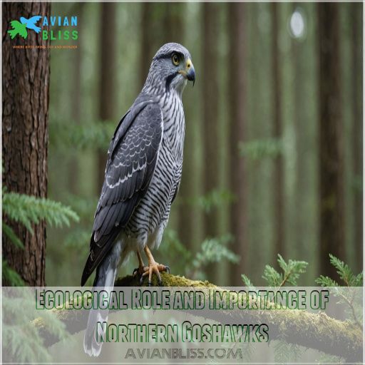 Ecological Role and Importance of Northern Goshawks