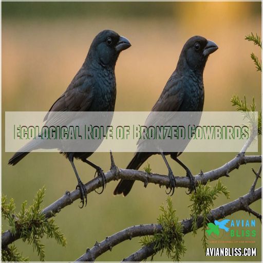 Ecological Role of Bronzed Cowbirds