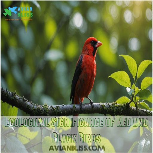 Ecological Significance of Red and Black Birds