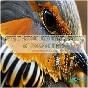 effect of pests on birds