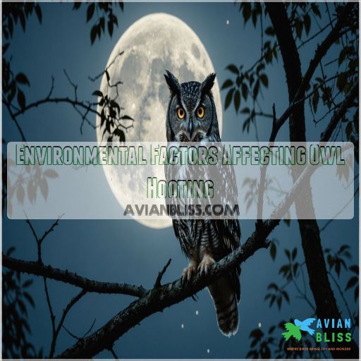 Environmental Factors Affecting Owl Hooting