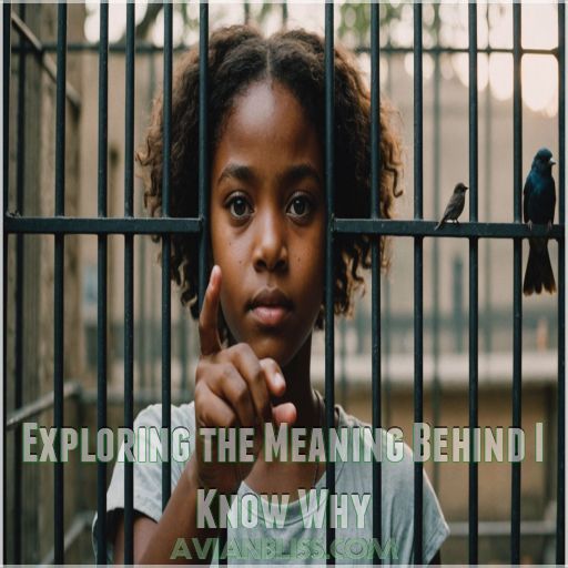 Exploring the Meaning Behind I Know Why