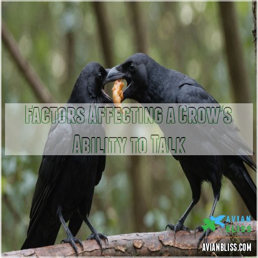 Factors Affecting a Crow