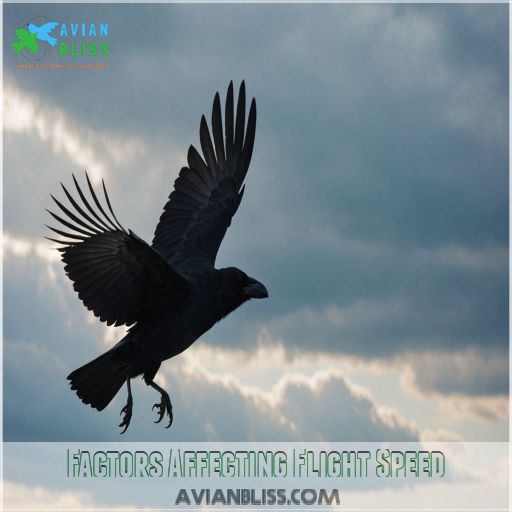 Factors Affecting Flight Speed