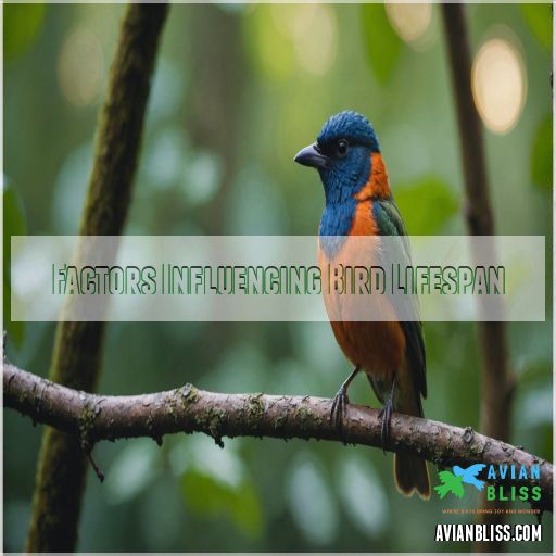 Factors Influencing Bird Lifespan