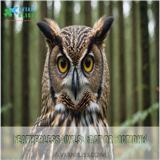 Featherless Owls: Fact or Fiction