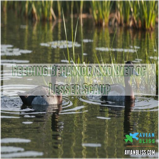 Feeding Behavior and Diet of Lesser Scaup