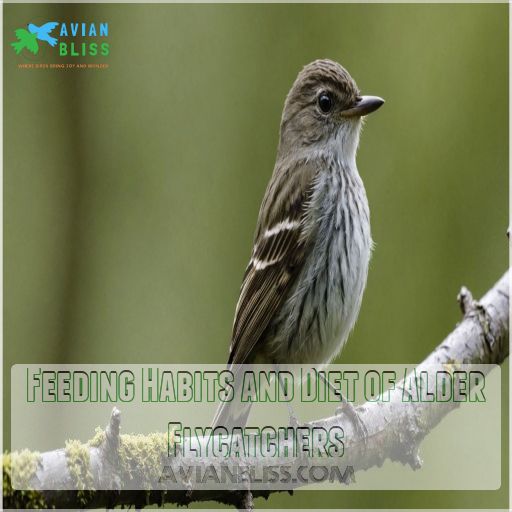 Feeding Habits and Diet of Alder Flycatchers