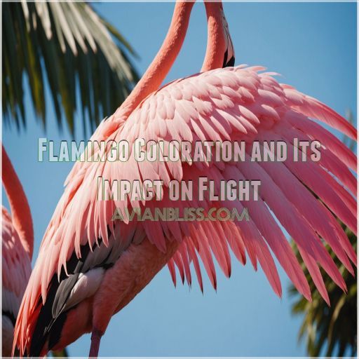 Flamingo Coloration and Its Impact on Flight