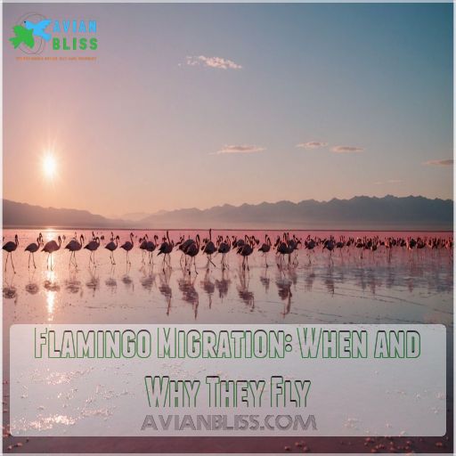 Flamingo Migration: When and Why They Fly