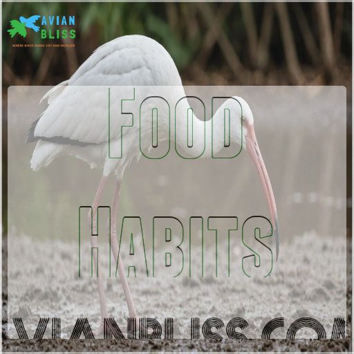 Food Habits