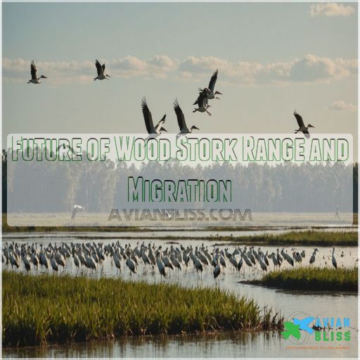 Future of Wood Stork Range and Migration