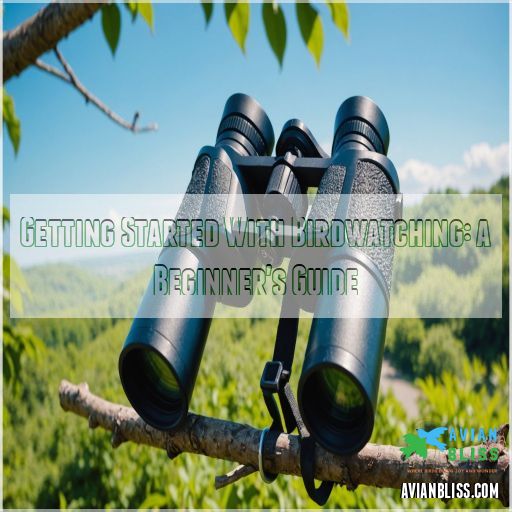 Getting Started With Birdwatching: a Beginner