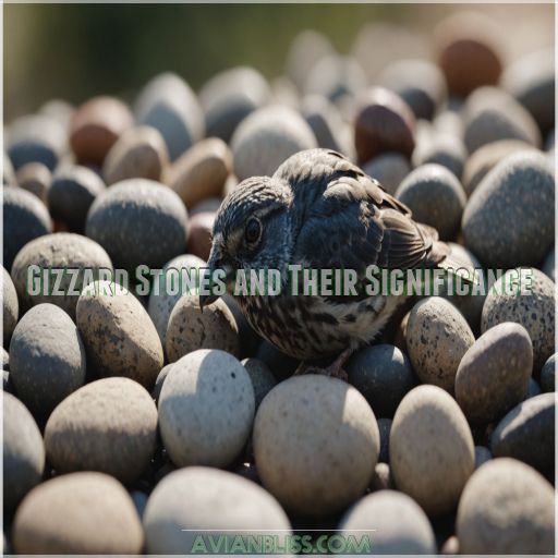 Gizzard Stones and Their Significance