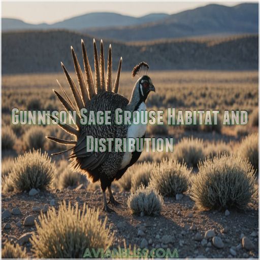 Gunnison Sage Grouse Habitat and Distribution