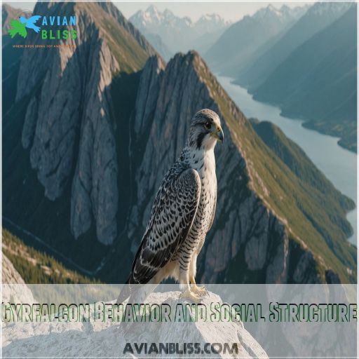 Gyrfalcon Behavior and Social Structure