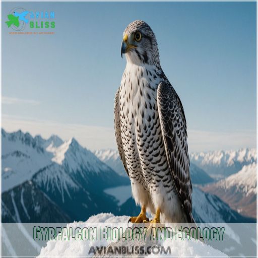 Gyrfalcon Biology and Ecology