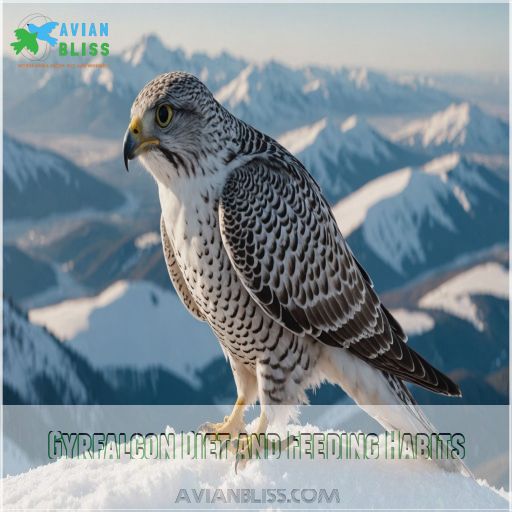 Gyrfalcon Diet and Feeding Habits