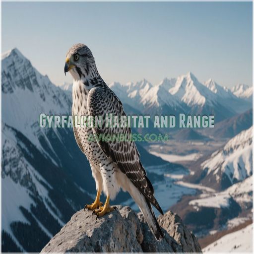 Gyrfalcon Habitat and Range