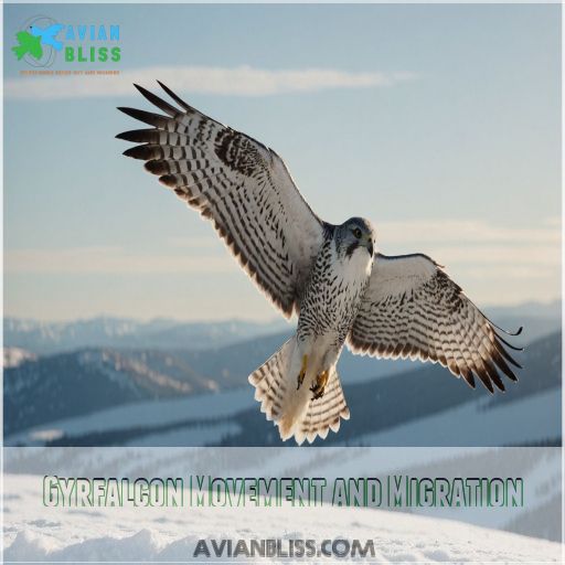 Gyrfalcon Movement and Migration