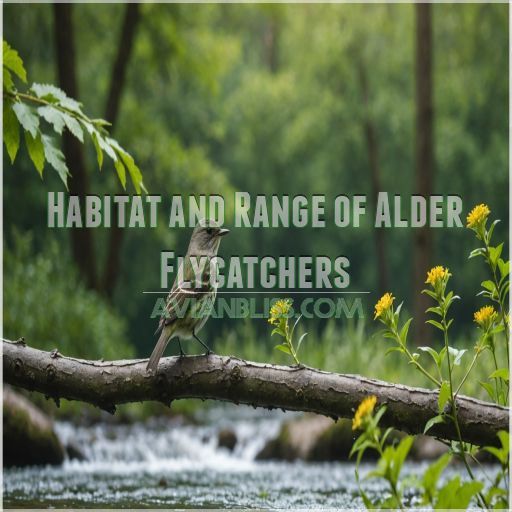 Habitat and Range of Alder Flycatchers