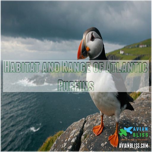 Habitat and Range of Atlantic Puffins