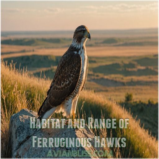 Habitat and Range of Ferruginous Hawks